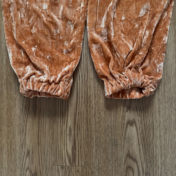 Urban Outfitters Aurora Crushed Velvet Joggers - Picture 6 of 6